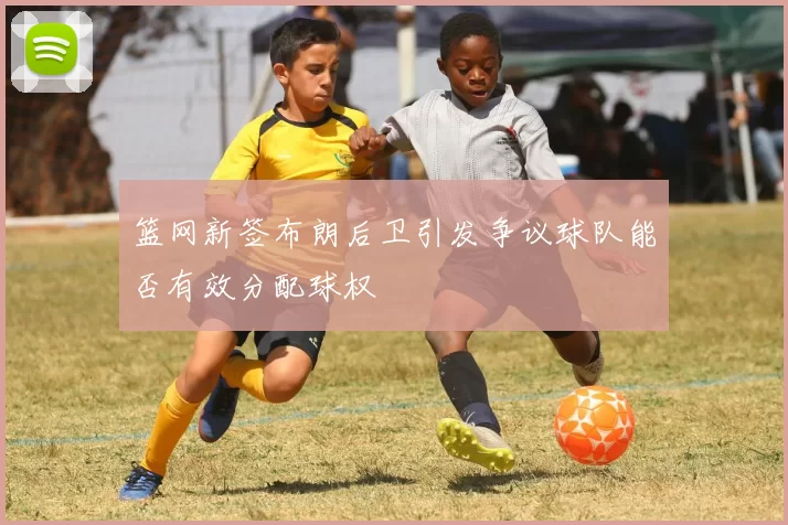 篮网新签布朗后卫引发争议球队能否有效分配球权